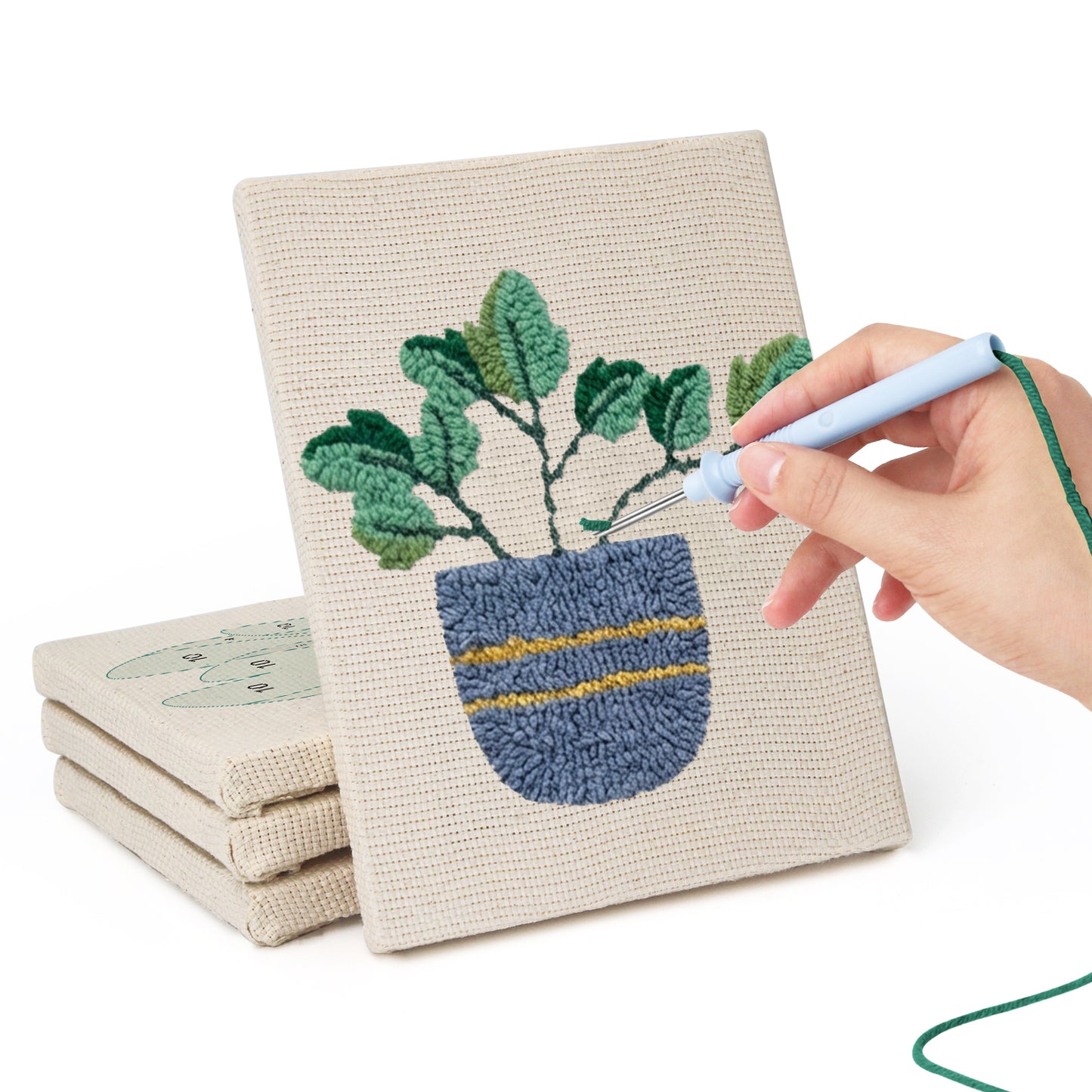 Set van 4 Mini's - Woestijnplanten