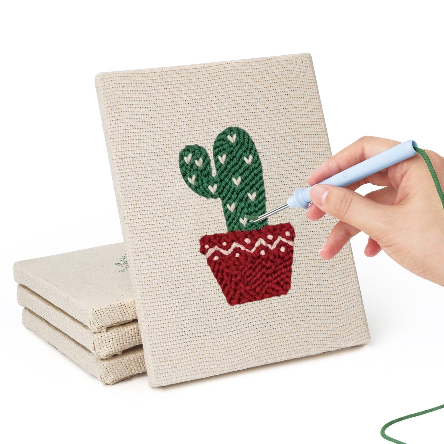 Set van 4 Mini's - Woestijnplanten
