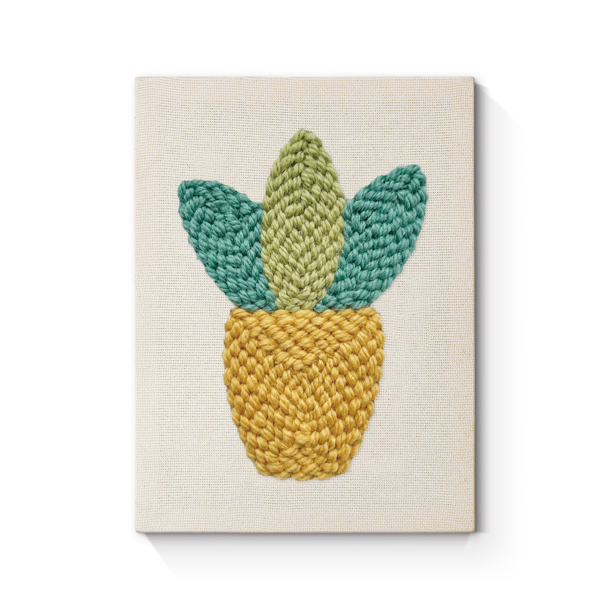 Ananasplant