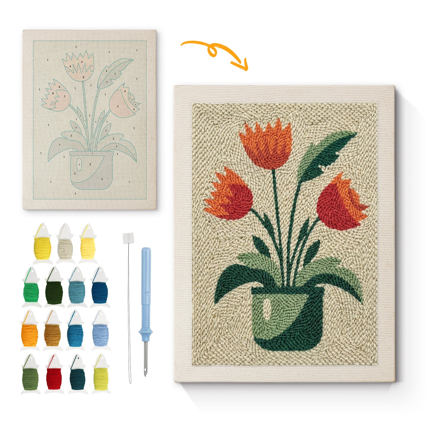 Tulpen