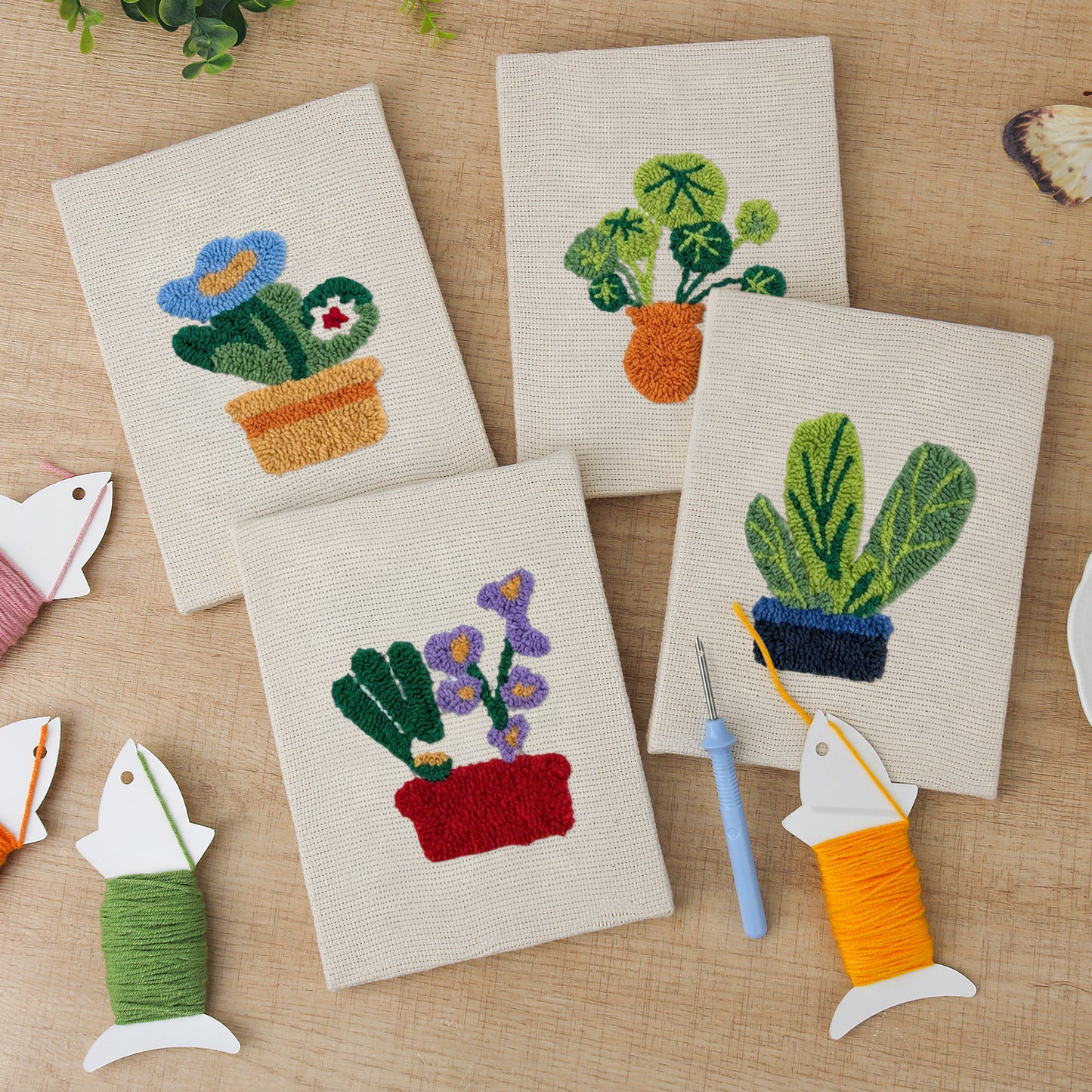 Set van 4 Mini's - Cactussen