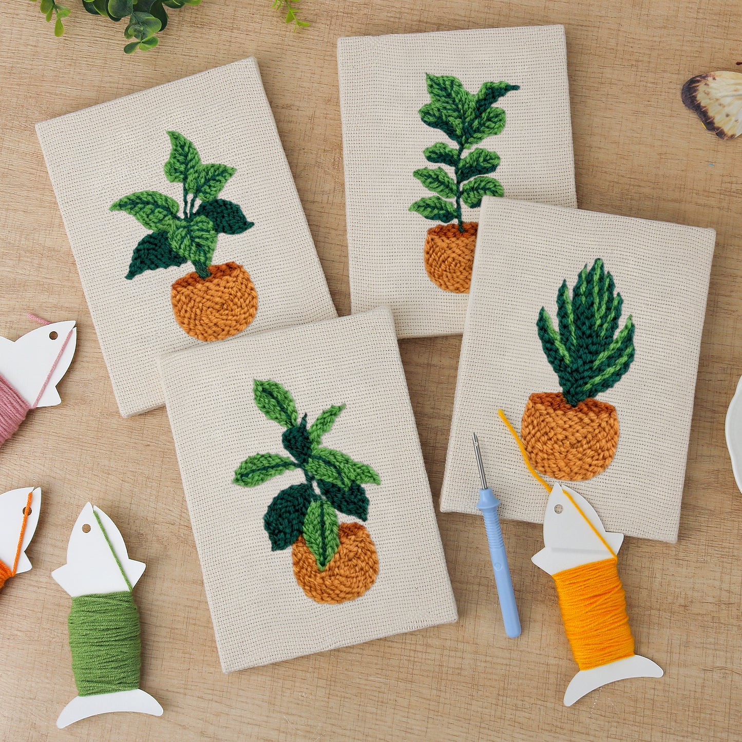 Set van 4 Mini's - Kamerplanten