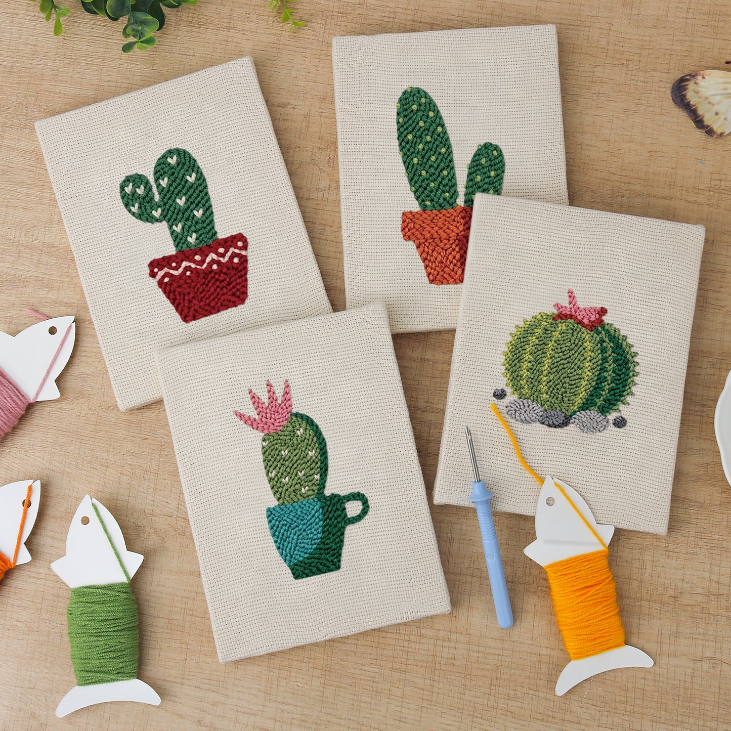 Set van 4 Mini's - Woestijnplanten