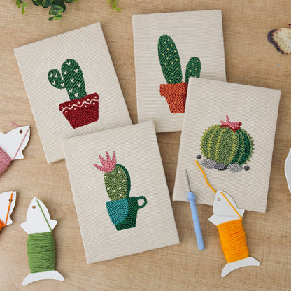 Set van 4 Mini's - Woestijnplanten
