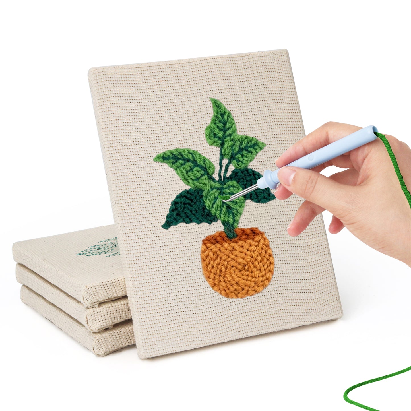 Set van 4 Mini's - Kamerplanten