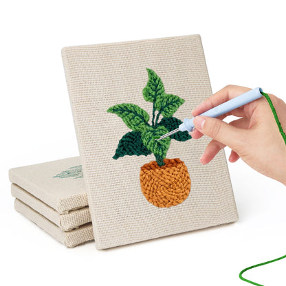Set van 4 Mini's - Kamerplanten