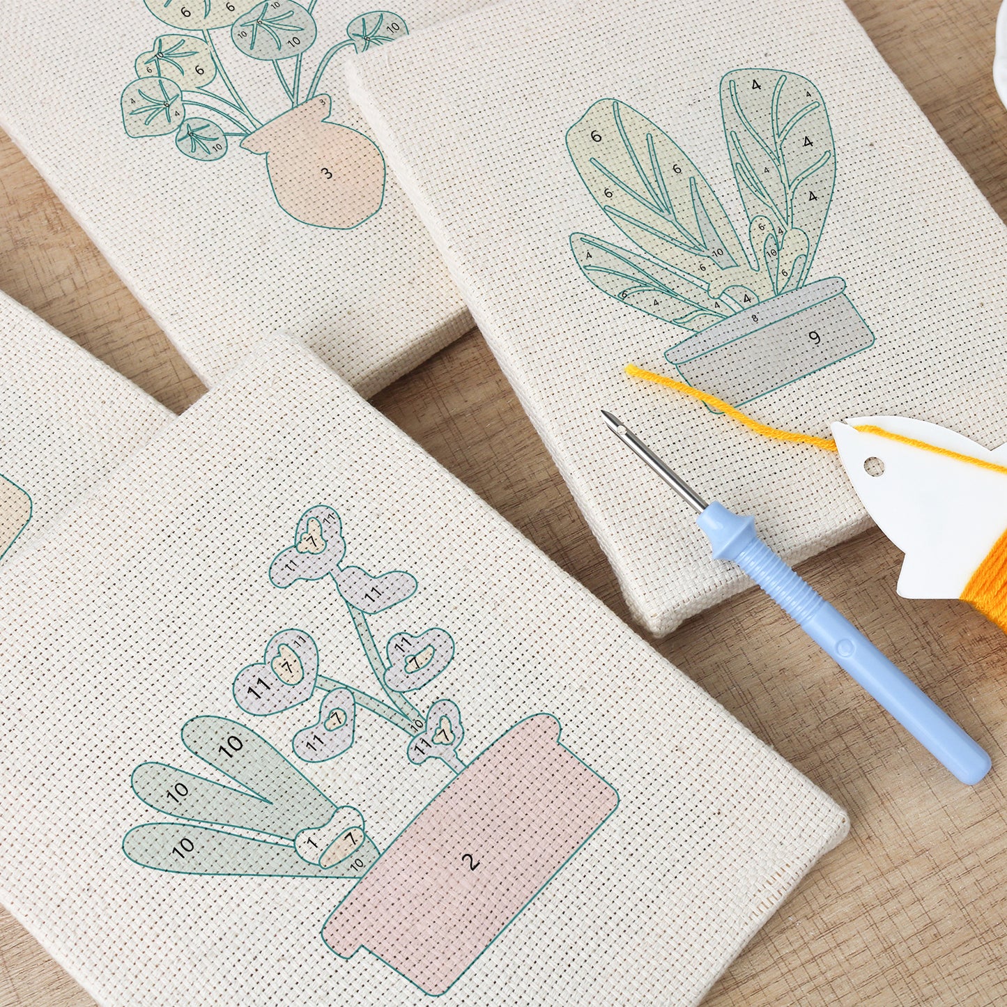 Set van 4 Mini's - Cactussen