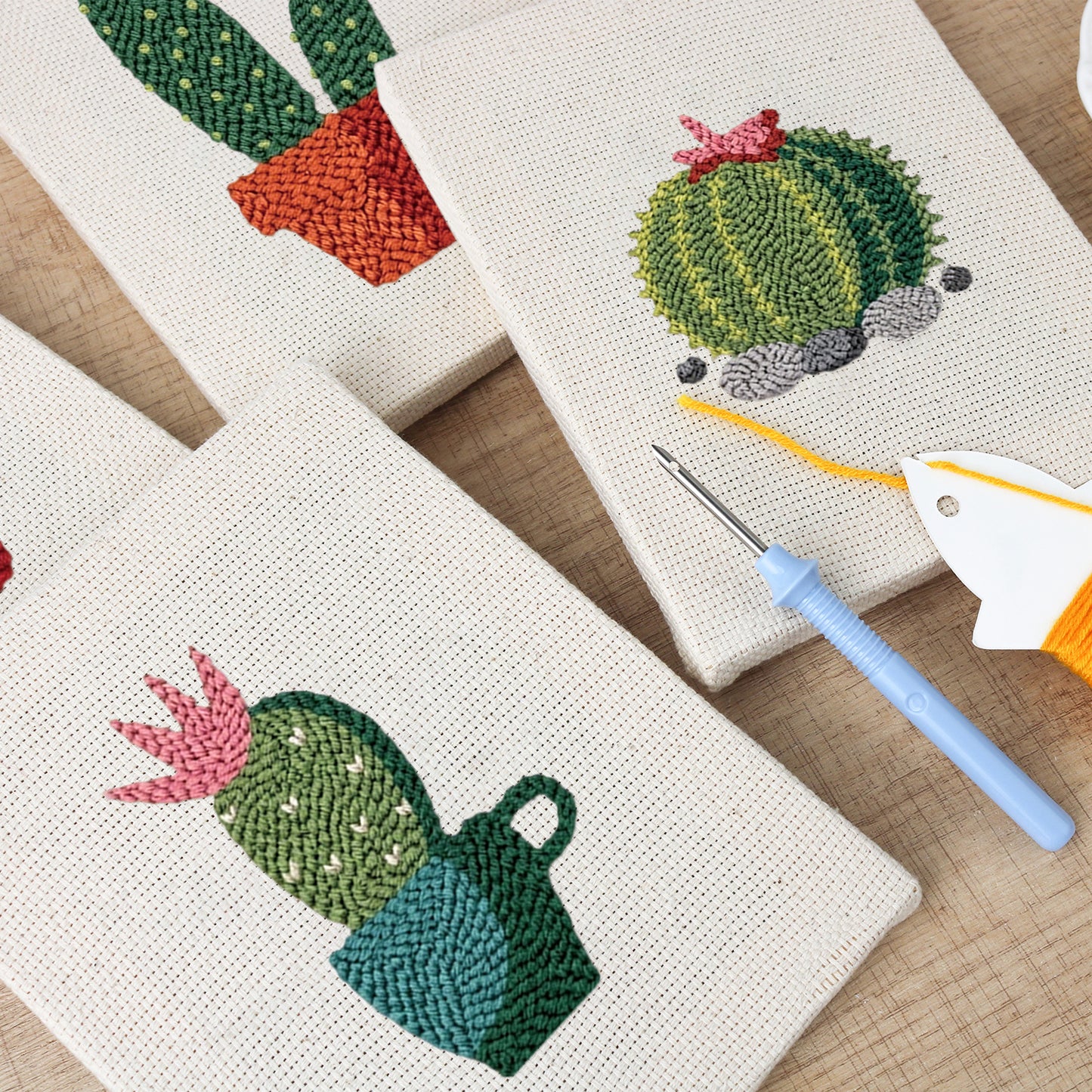 Set van 4 Mini's - Woestijnplanten