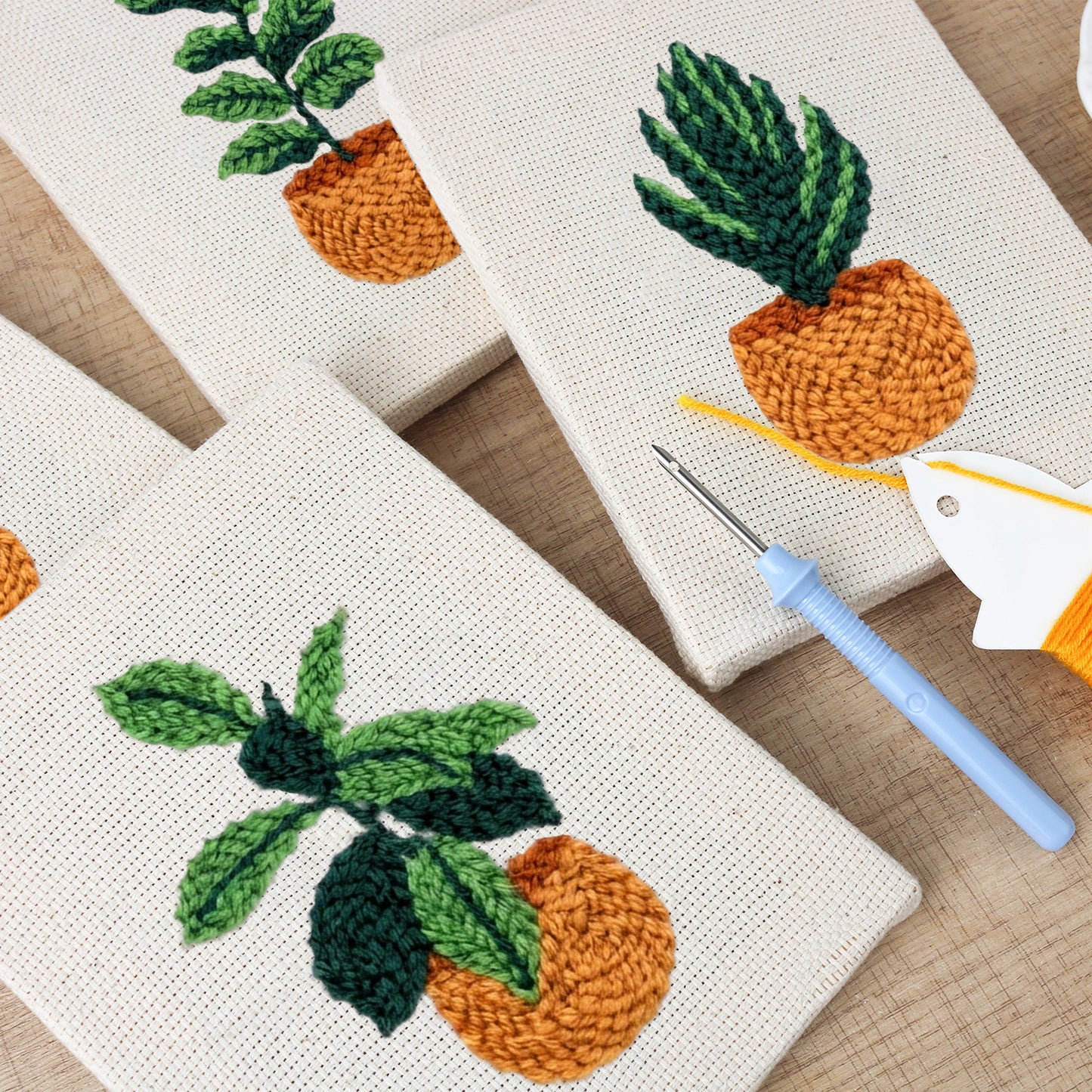 Set van 4 Mini's - Kamerplanten