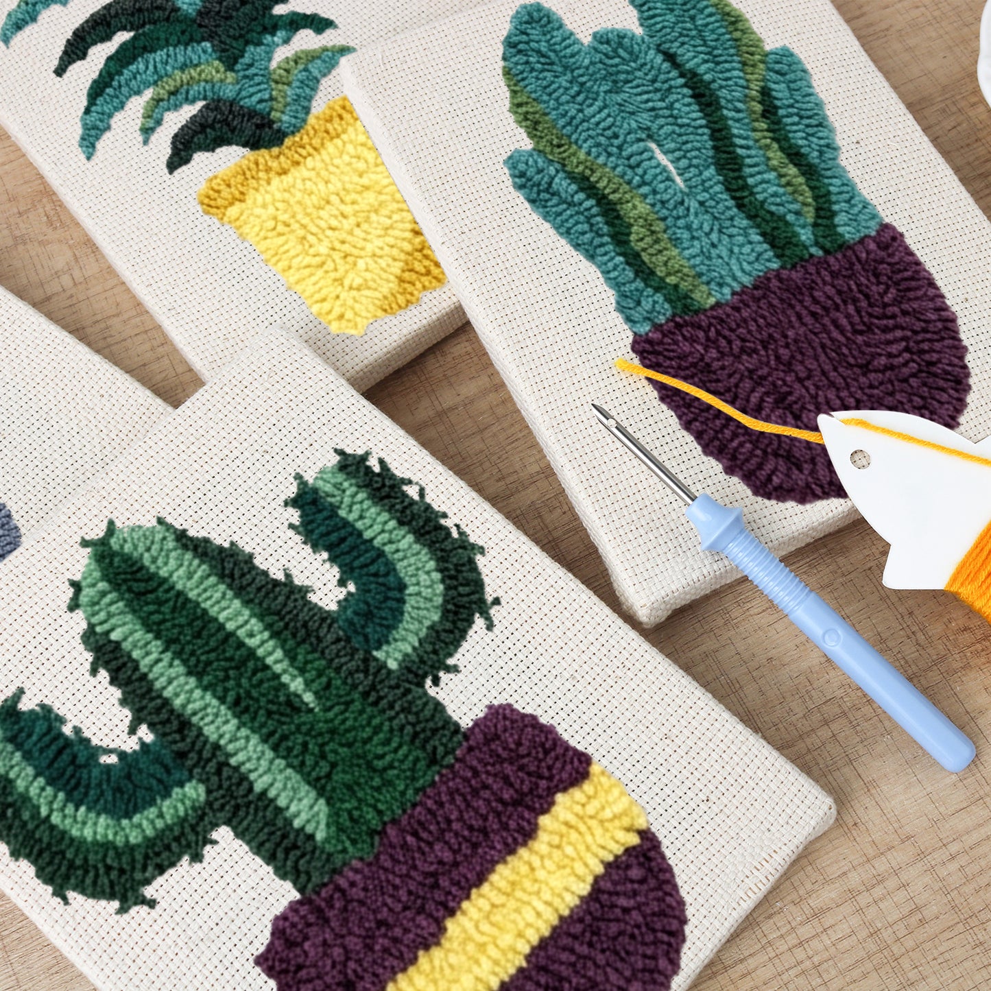 Set van 4 Mini's - Woestijnplanten