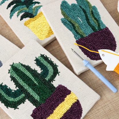 Set van 4 Mini's - Woestijnplanten