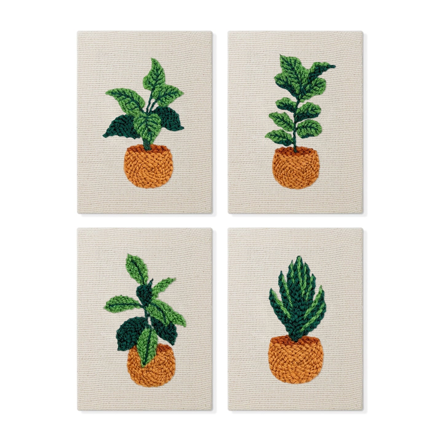 Set van 4 Mini's - Kamerplanten