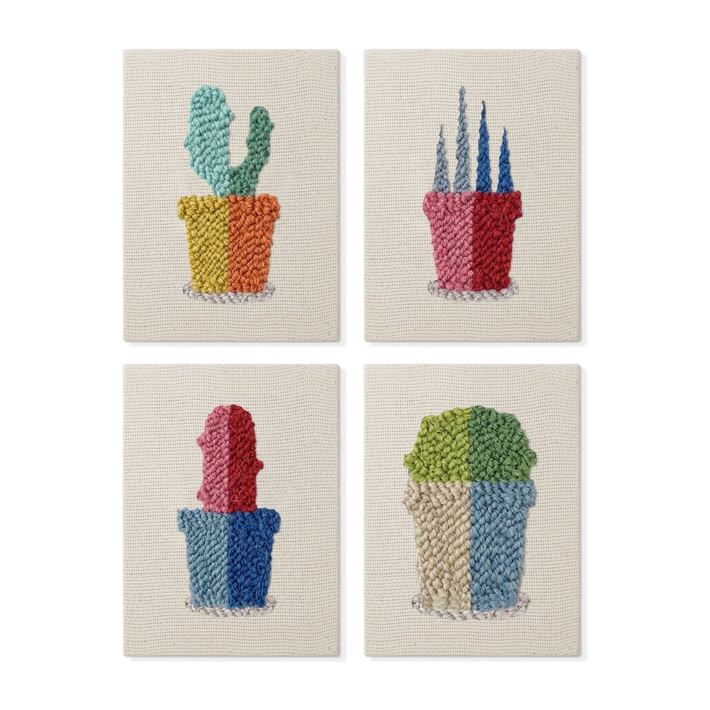 Set van 4 Mini's - Woestijncactus