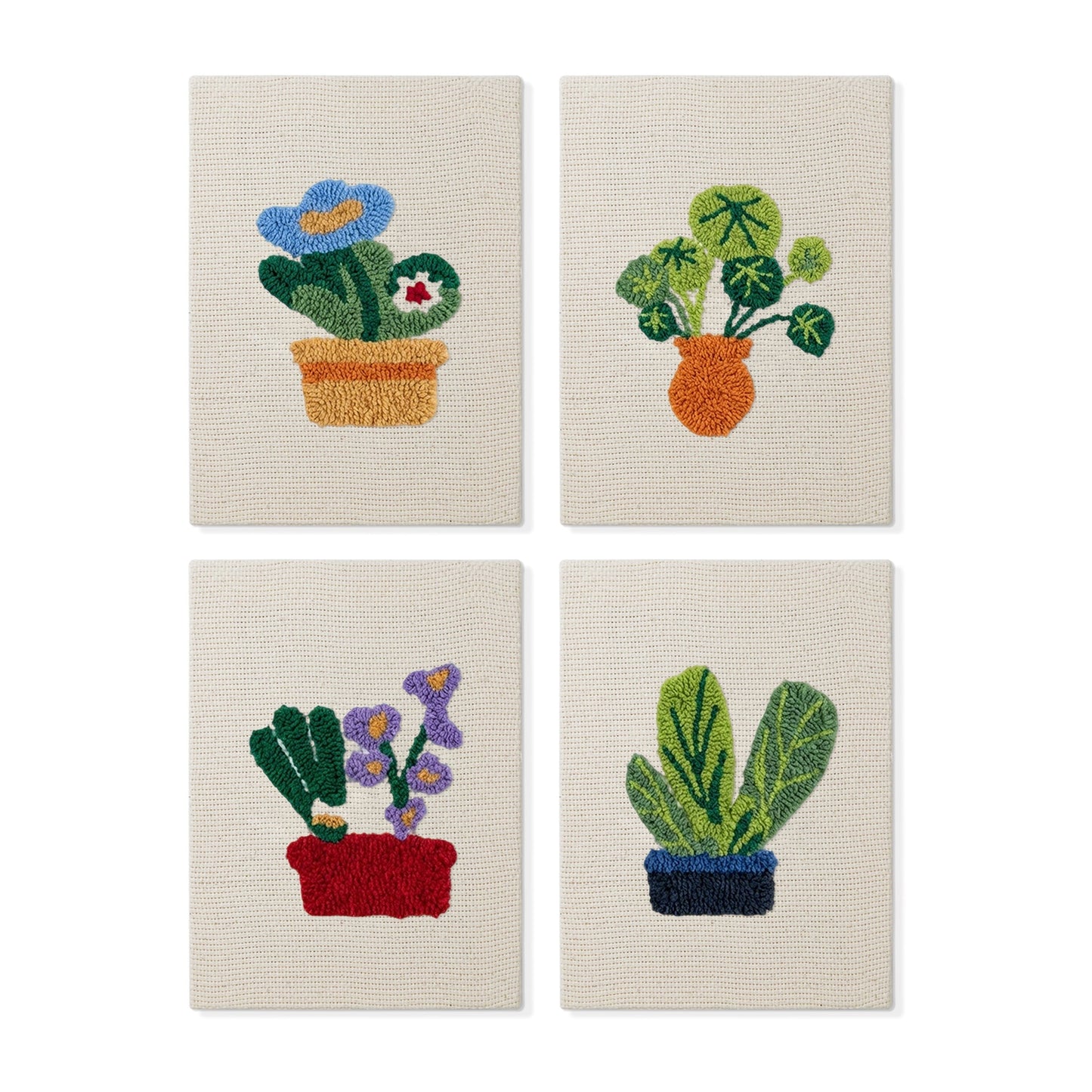 Set van 4 Mini's - Cactussen